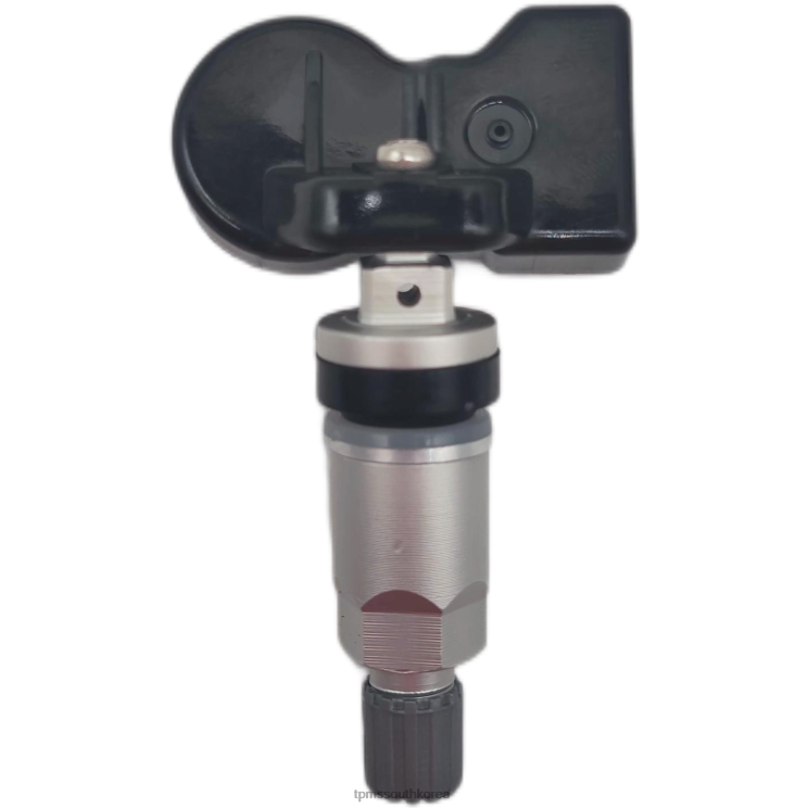 Tpms saic datsun 타이어 압력 센서 c00104713 D6Z0T1293 - TPMS 배터리